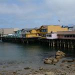 Monterey2016_0078 (April 29, 2016)